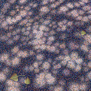 Schaduwpatroon op een met stippen geschilderde ondergrond met drie groene bladeren.