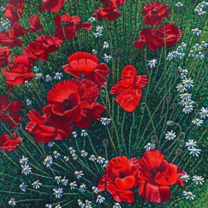 Felle rode klaprozen en witte madeliefjes in een dichtbegroeide, groene bloemenweide.